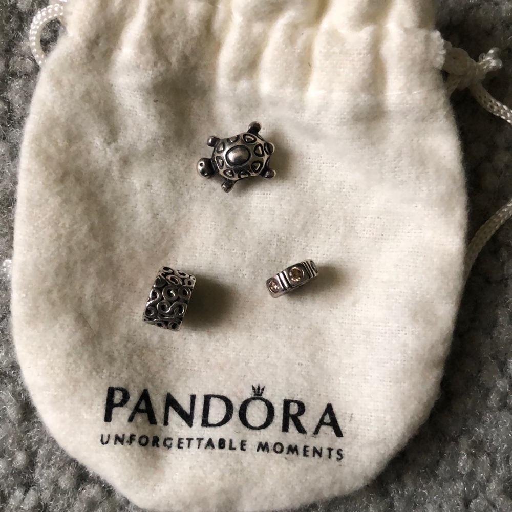 Pandora charms